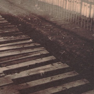 Red House Painters 8