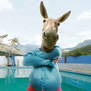 Velandia y la Tigra 3