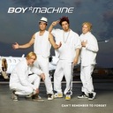 Can't Remember to Forget