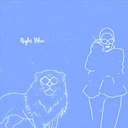 Night Blue