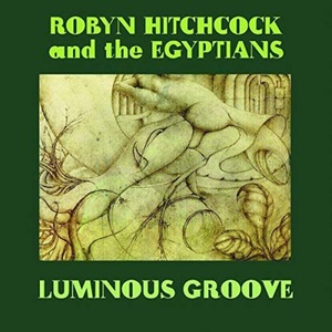 Robyn Hitchcock and The Egyptians 1