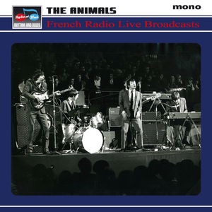 The Animals 41