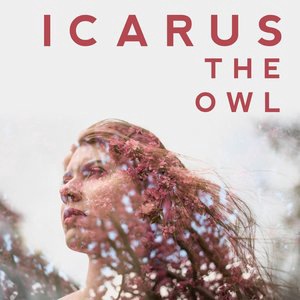 Icarus the Owl 3