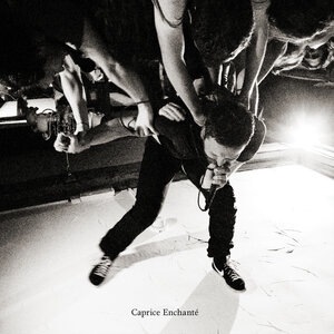 The St Pierre Snake Invasion 1