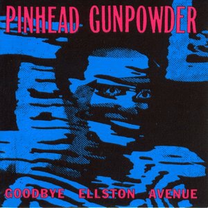 Pinhead Gunpowder 4