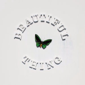 Beautiful Thing
