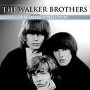 Everything Under The Sun