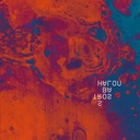 Night Divides the Girls