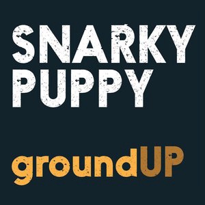 Snarky Puppy 3