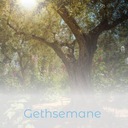 Gethsemane