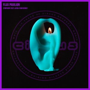 Flux Pavilion 16