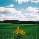 Famous Blue Raincoat