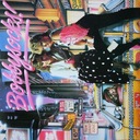 I Don't Wanna Break My Heart