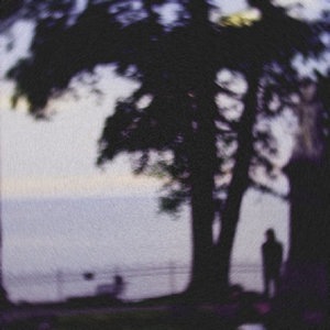 I Swear I Saw You Wither Away