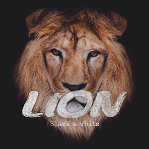 Lion 2