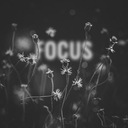 Focus