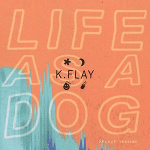 K.Flay 11