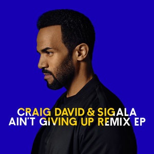 Craig David 19