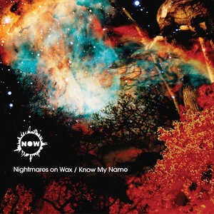 Nightmares On Wax 8