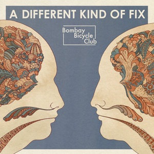 Bombay Bicycle Club 3