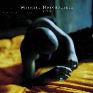 Meshell Ndegeocello 10