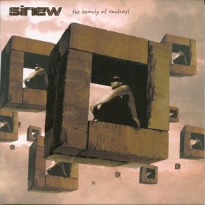 The Allegory of the cave