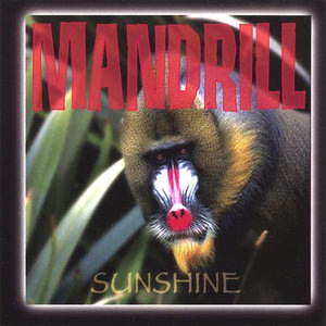 Mandrill 3