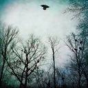 Someone Has to Bleed