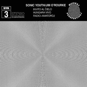 Sonic Youth 6