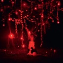 One Too Many Mornings