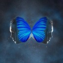 Sexo Sem Compromisso