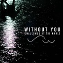 Without You