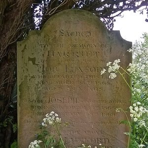 Vincent Vocoder Voice 2