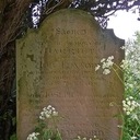 Your Grandchildren Are Already Fucked (The Silence of Animals)