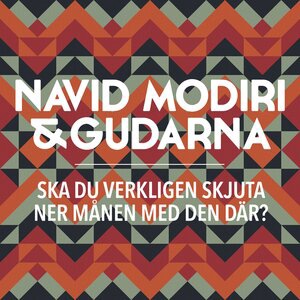 Navid Modiri 4