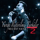 Kırmızı Gül Demet Demet