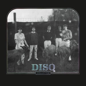 disq 1