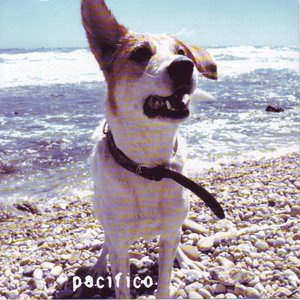 Pacifico 3