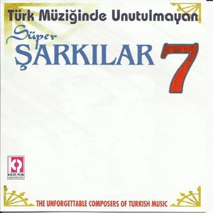 Faruk Salgar 2