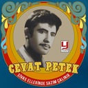 Ne Ayvadır Nede Nar