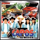 El Chingón de Chingones