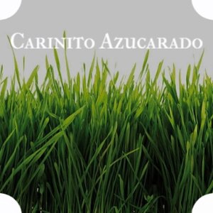 Where Did the Sunshine Go?