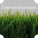 Where Did the Sunshine Go?