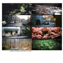 the sun was in my eyes