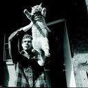 So I Shotgunned a Beer and Went to Bed