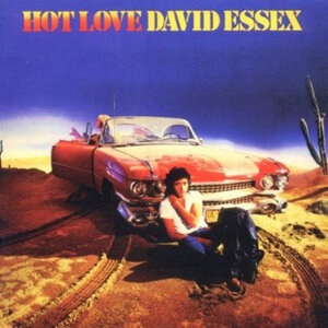 David Essex 13