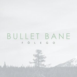 Bullet Bane 5