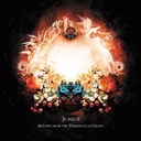 A Universe Without Stars