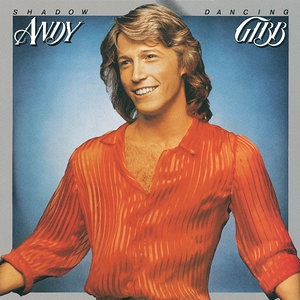Andy Gibb 3
