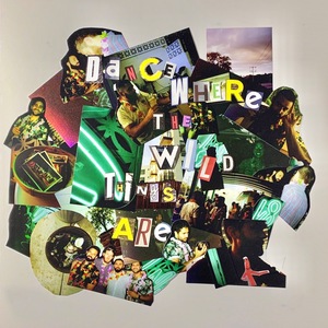 Dance Where the Wild Things Are